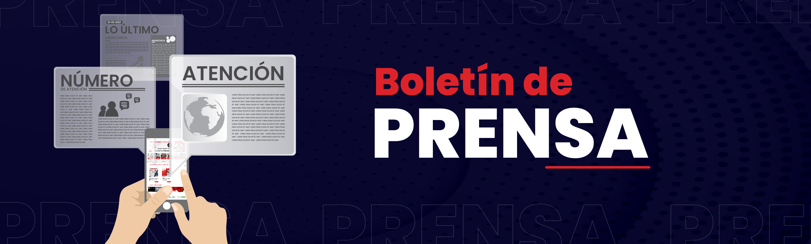 Boletín de prensa